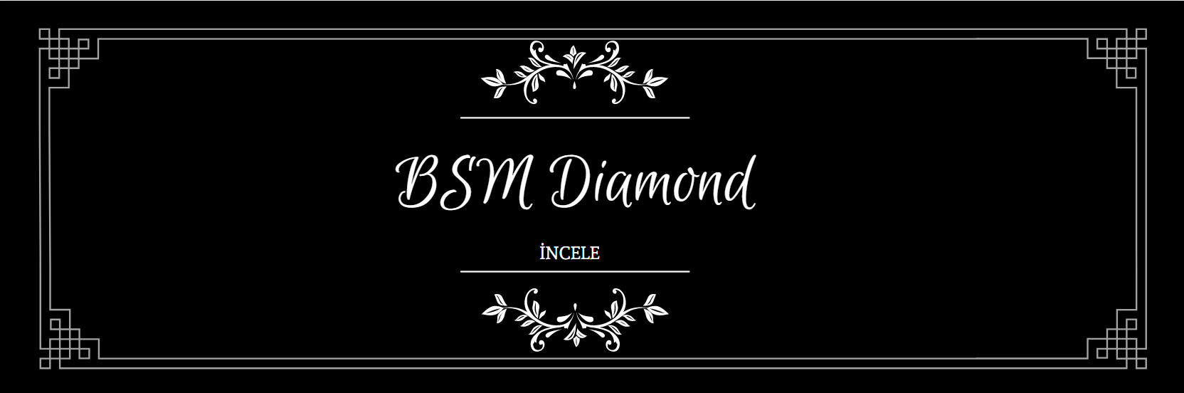 Besim Silver - 11