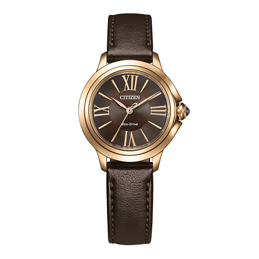 Citizen EM1163-09X Kol Saati