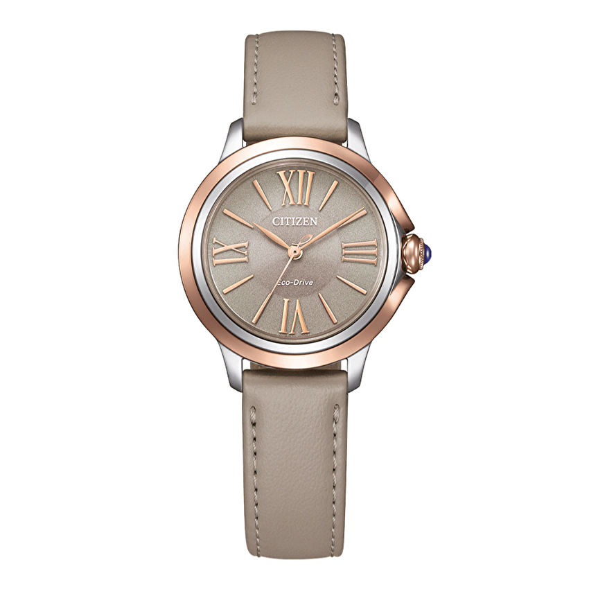 Citizen EM1166-01Z Kol Saati