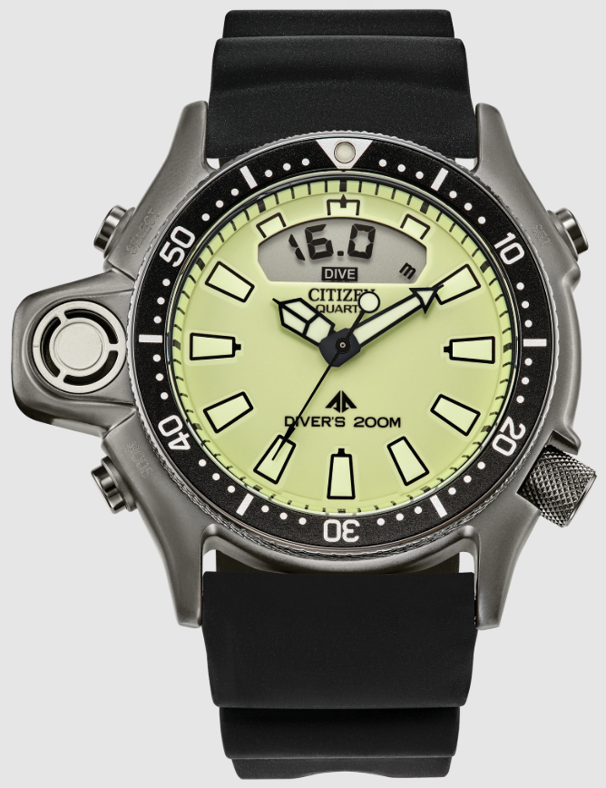 Citizen Promaster Diver JP2007-17W Kol Saati