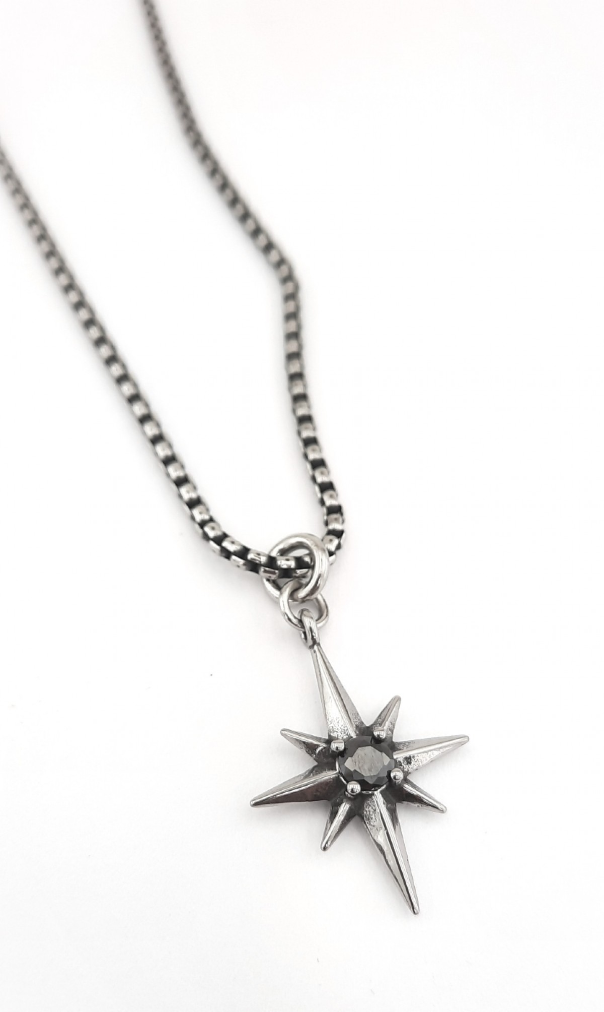 Kutup Yıldızı Uçlu Çelik Zincir Kolye Kutup Yıldızı Uçlu Çelik Zincir Kolye