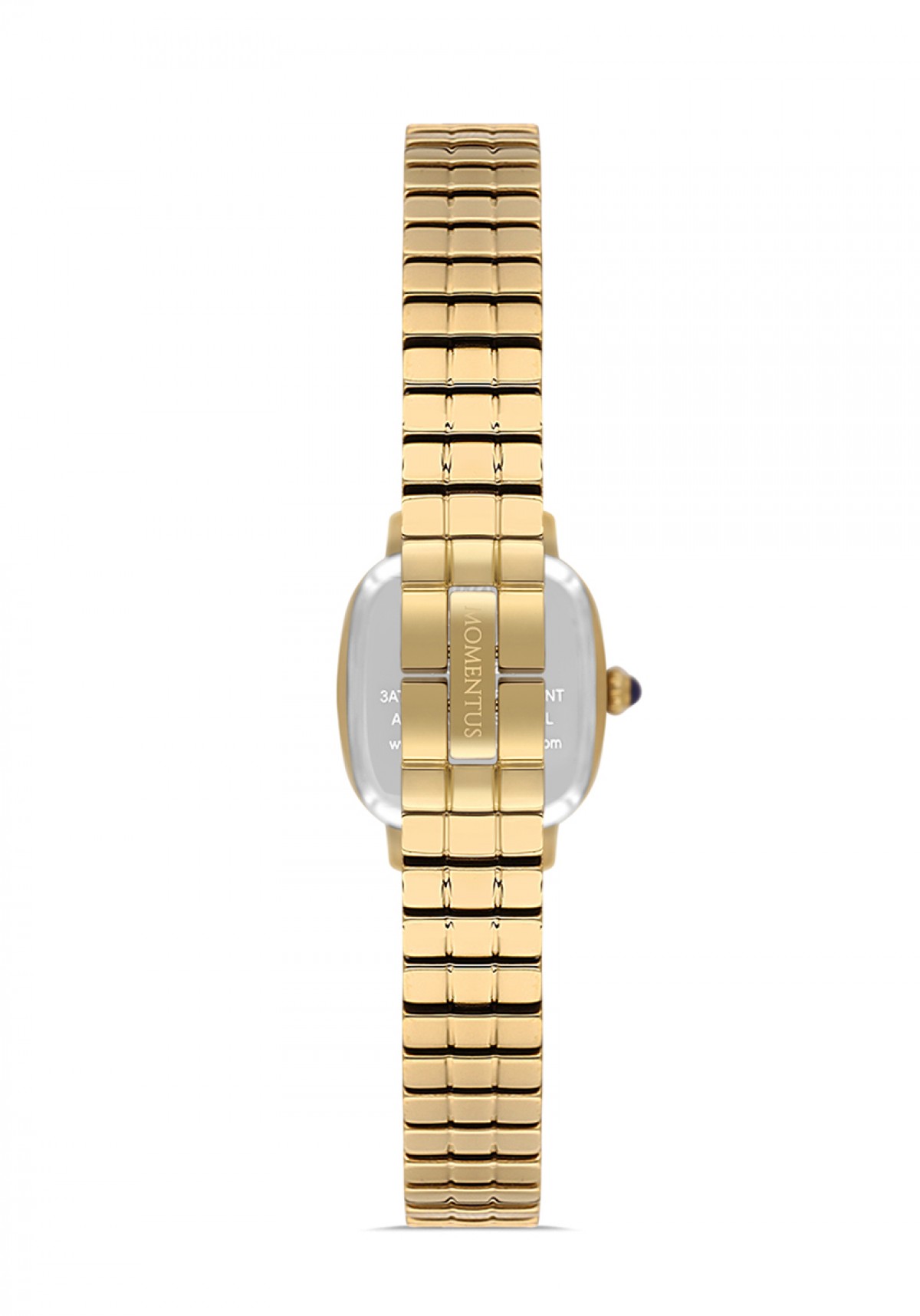 Momentus CW318G-02SG Kol Saati