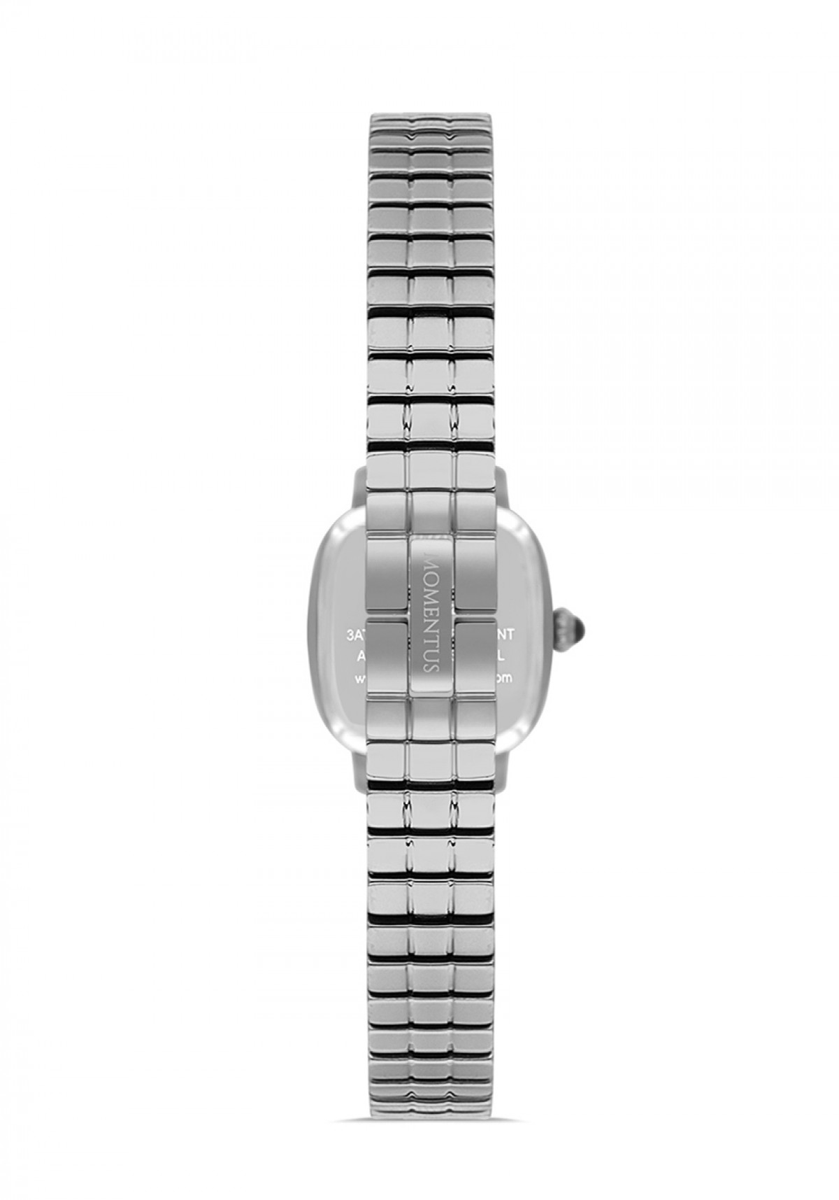 Momentus CW318S-02SS Kol Saati